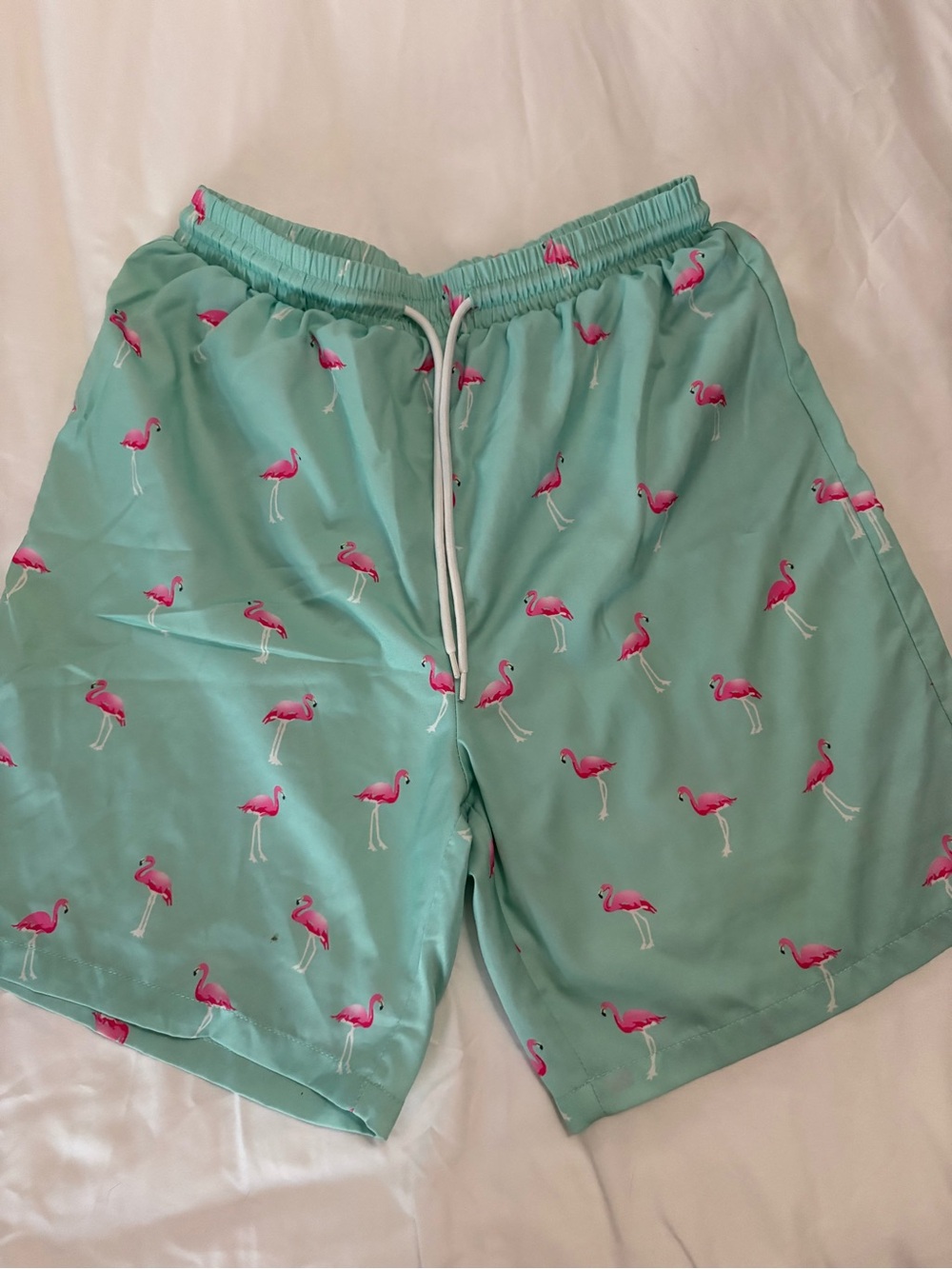 SHEIN Aqua Swim Trunks with Pink Flamingo Print